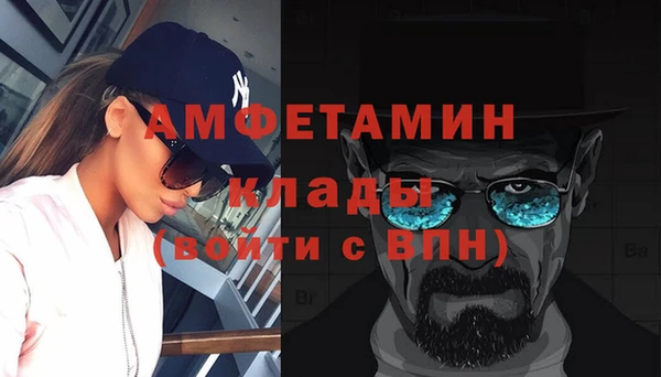 гидра Арсеньев