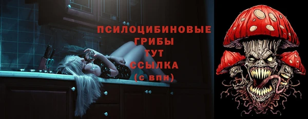 гидра Арсеньев