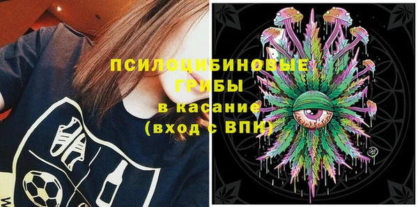 гидра Арсеньев