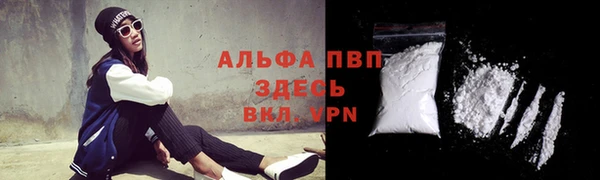 гидра Арсеньев
