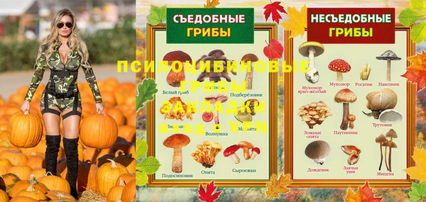 гидра Арсеньев