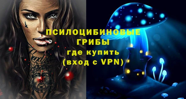 гидра Арсеньев