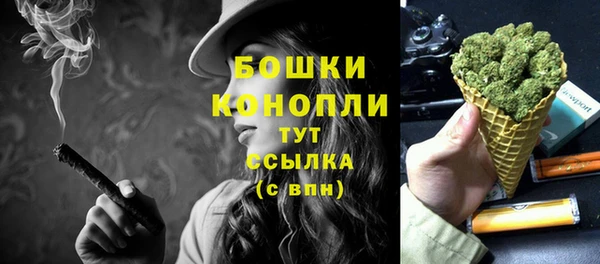 PSILOCYBIN Армянск